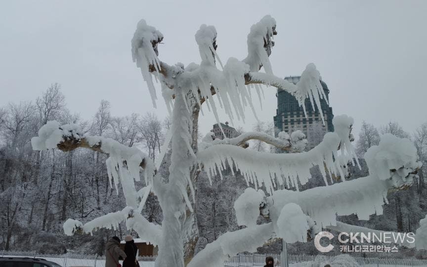 ํ ๋ก ํ ๋ค์ โ๋ถ๊ทน ํํโโฆ ์ฃผ๋ง ์ฒด๊ฐ์จ๋ ์ํ 30๋ '๊ฐํ'