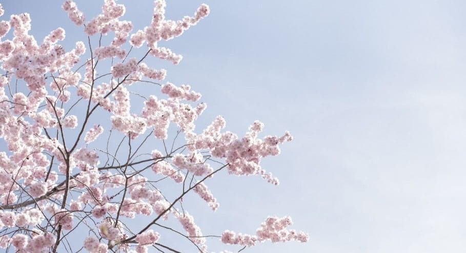 ํ ๋ก ํ ์ด๋ฒ์ฃผ๊น์ง '๋๋ฐ๊ธฐ ๋ ์จ' โฆ ๋ค์์ฃผ๋ถํฐ ์์ฐํ '๋ด'