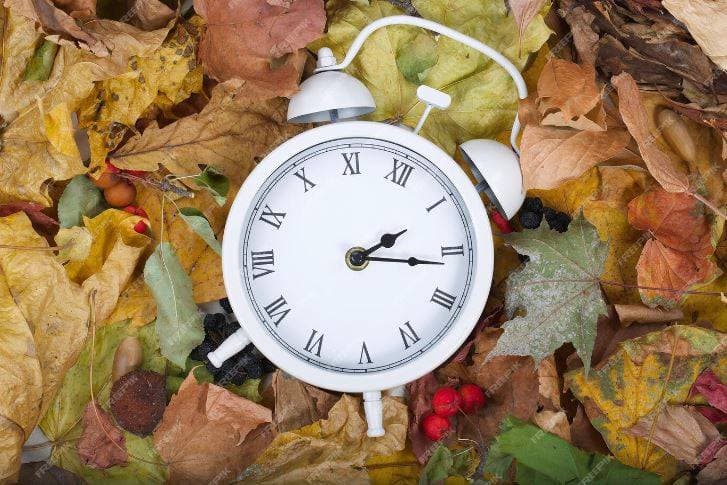 앨버타주, 시계 조정 없는 ‘영구 시간제’ 도입… 토론토는 왜 못 하나?