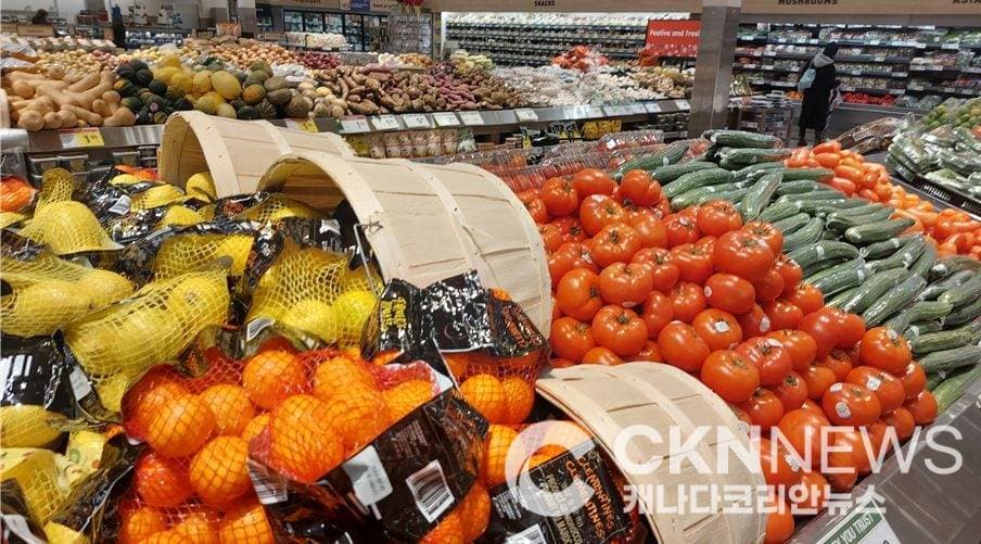 "장보기가 무섭다"… 캐나다인 76% '식료품값이 가장 부담'