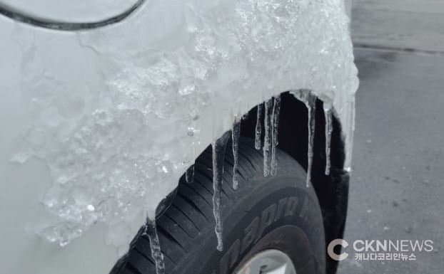 토론토 ‘4월의 설국’ 변덕에 당혹… 체감 영하 10도 꽃샘추위 기습