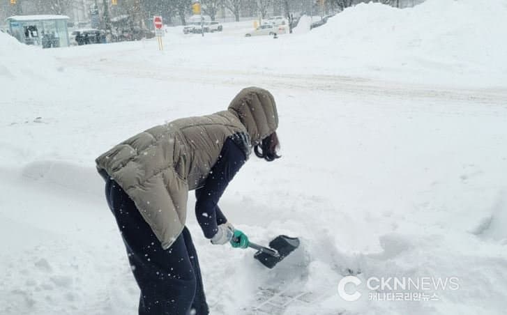 “눈 치우면 돈 준다?” 차우 시장 '유급 시민 제설단' 도입