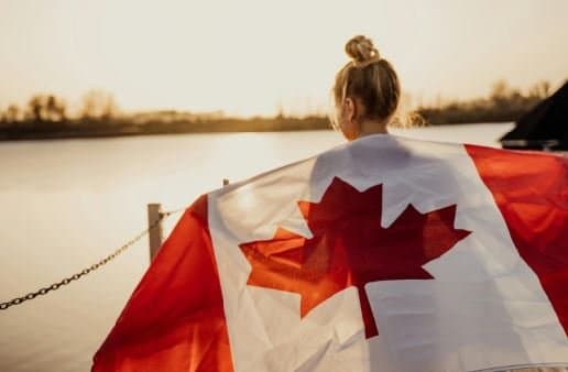 โ๋๋ ์บ๋๋ค์ธ?โ ์๋ฏผ๊ถ๋ฒ ๊ฐ์ โฆ ๋ฏธ๊ตญ์ธ ์๋ฐฑ๋ง ๋ช
์ํ