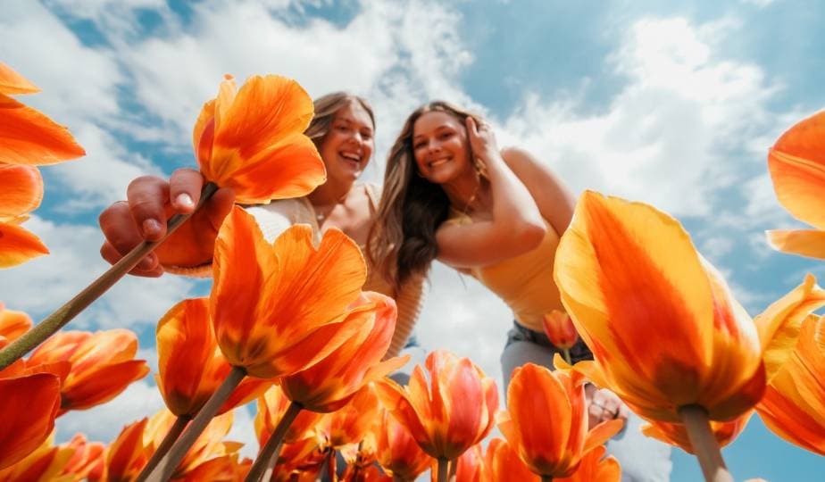 “인생샷 찍으러 나이아가라 가자” … 온타리오 최대 튤립 축제 개막