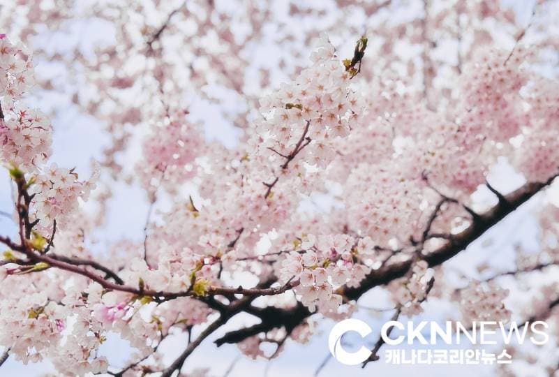 ํ ๋ก ํ ํ์ดํํฌ ๋ฒ๊ฝ ๊ฐํ ์๋ฐโฆ ์ธ์์ท ์ ํธ์ ์ฑค์ค