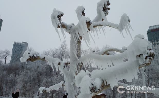 토론토 겨울폭풍 경보…최대 15cm 눈·어는 비