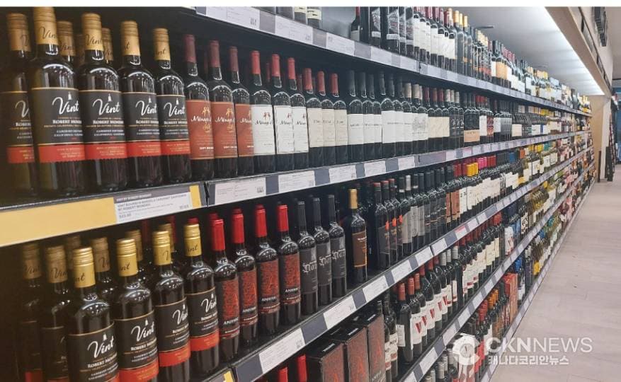 내일부터 술값 또 오른다… 맥주·와인 가격 줄인상 예고